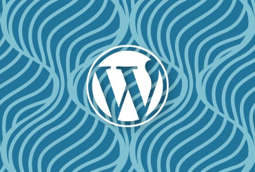 WordPress CMS